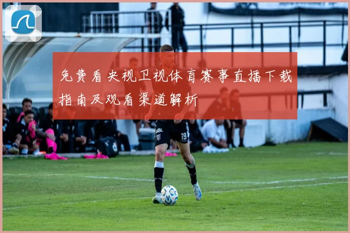 免费看央视卫视体育赛事直播下载指南及观看渠道解析