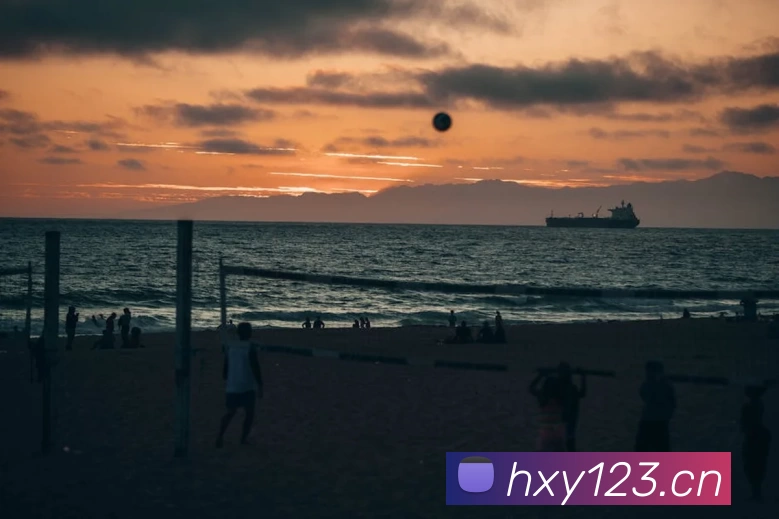 k体育直播官网(官方)登录入口平台生态图